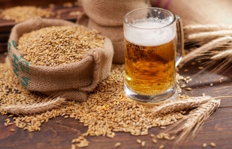 Malt and barley next to a glass of beer, related to brewer's yeast
