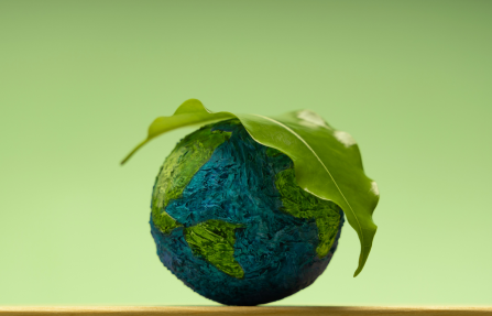 Green leaf covering a small globe, symbol of ECGT sustainability claims