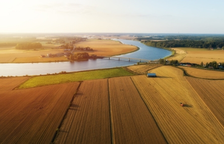 Vue aérienne de champs le long d’une rivière, illustrant l’utilisation de l’eau dans la production primaire végétale