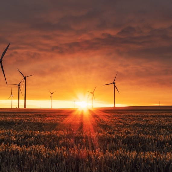 Wind turbines in a green landscape, a symbol of sustainability and CO2 reduction