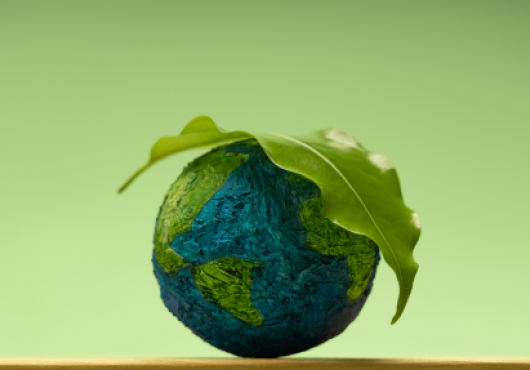 Green leaf on a globe