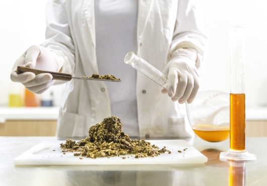 Analysis of a food sample in the lab